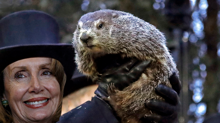 Pelosi holding up a groundhog.