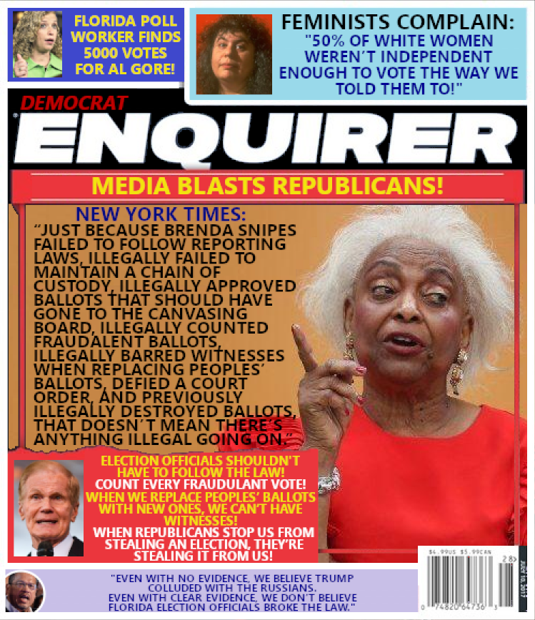 Magazine Cover:  Florida Voting Fiasco